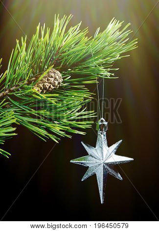 silver star on black backgroundChristmas bauble. frozenned nature
