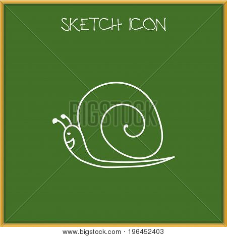 Vector Illustration Of Zoo Symbol On Snail Doodle