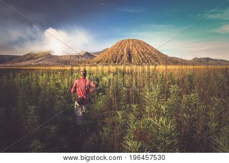 Female tourist walking through the high grass towards the craters of Gunung Bromo and Sumeru volcanoes in Java, Indonesia