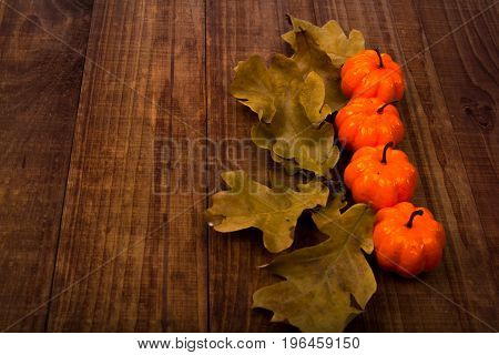 A Close Up Of Several Small Pumpkins Lined Up In A Row On Rustic Old Wooden Boards Against Medium Br
