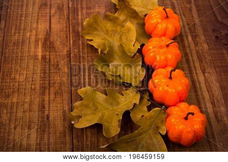 A Close Up Of Several Small Pumpkins Lined Up In A Row On Rustic Old Wooden Boards Against Medium Br