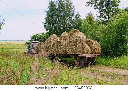 Tractor driven fresh hay on special agricultural trailer in the background of the picturesque landscape.