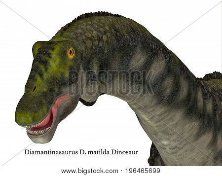 Diamantinasaurus Dinosaur Head with Font 3d illustration - Diamantinasaurus was a herbivorous sauropod dinosaur that lived in Australia during the Cretaceous Period.