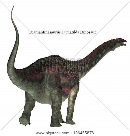 Diamantinasaurus Dinosaur Tail with Font 3d illustration - Diamantinasaurus was a herbivorous sauropod dinosaur that lived in Australia during the Cretaceous Period.