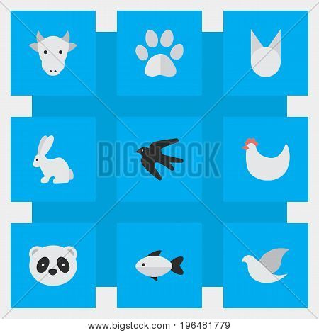 Vector Illustration Set Of Simple Animals Icons. Elements Sparrow, Cock, Foot And Other Synonyms Swallow, Bird And Rooster.