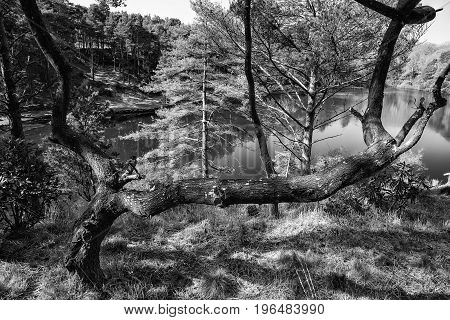 Beautiful Landscape Image Of Old Clay Pit Quarry Lake In Black And White Monochrome
