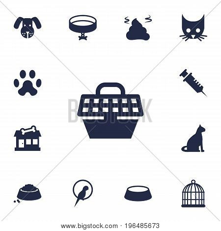 Collection Of Sitting, Pet Crate, Neckband Elements. Set Of 13 Pets Icons Set.