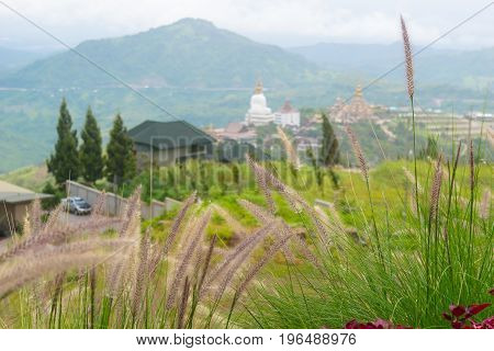 View nature mountain sky and fog phu tubberk thailand