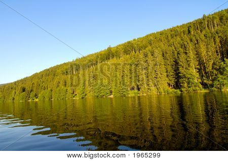 Titisee, Reflections puita