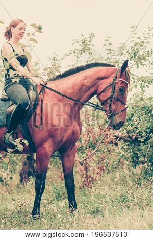 Animal horsemanship concept. Young woman sitting and ridding on a horse through garden on sunny spring day profile view