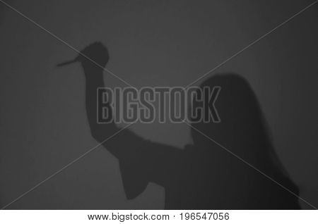 Blurred Shadow Of Woman Killer Holding Knife With Hatred In Murdurer / Horror / Thriller Concept