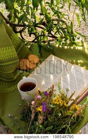 reading a book on a summer evening