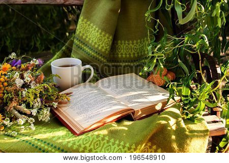 reading a book on a summer evening