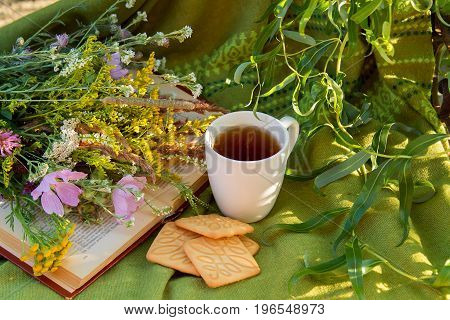 reading a book on a summer evening