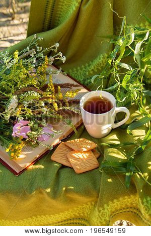 reading a book on a summer evening