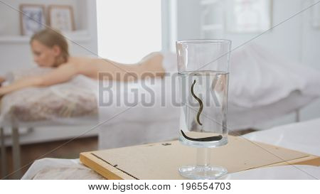 Bank with leeches against the background of a blonde girl - hirudotherapy. Tibetan Medicine