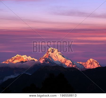 Panorama Of Mount Annapurna South - View From Poon Hill On Annapurna Circuit Trek, Nepal