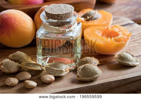 A Bottle Of Apricot Kernel Oil With Apricot Kernels And Apricots