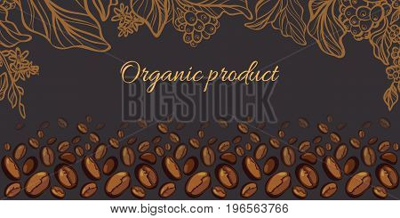 Branch of coffee tree with leaves and coffee beans. Botanical drawing. Floral decor for design template. Place for text. Vector illustration