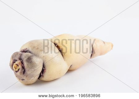 Cubios (Tropaeolum tuberosum) isolated on white background