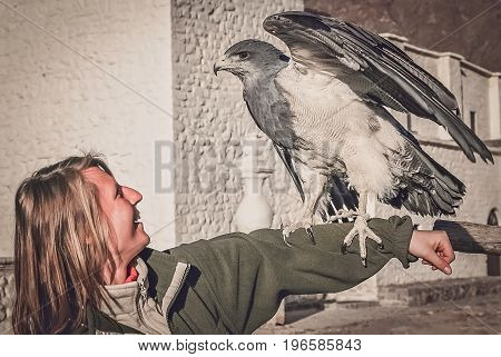 Female tourists with a native to the Andes eagle resting on her stretched arm in Colca Canyon in Peru, South America