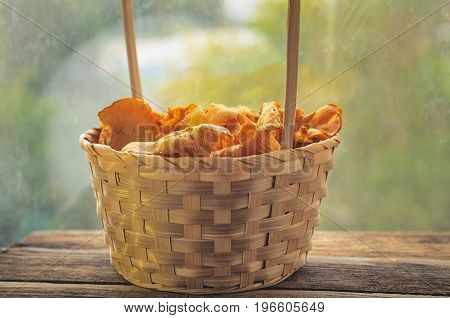 Basket with wild mushrooms yellow chanterelle On the background of the window