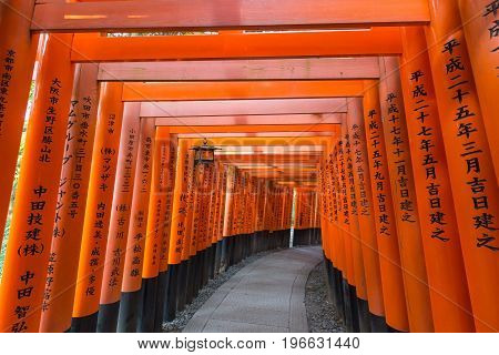 KYOTO JAPAN - AUGUST 4 2015 : Thousand of torii gates (Senbon Torii) at Fushimi Inari Taisha Shrine. A famous historic site and tourist destination in Kyoto Japan.