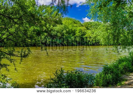 River Morava near city Bratislava at Slovakia