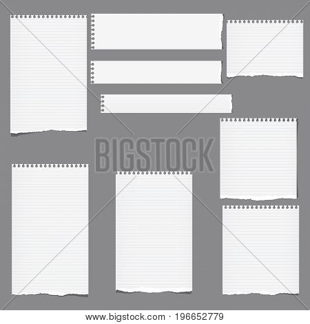 Ripped ruled note, notebook, copybook vertical and horizontal paper strips, sheets grey background
