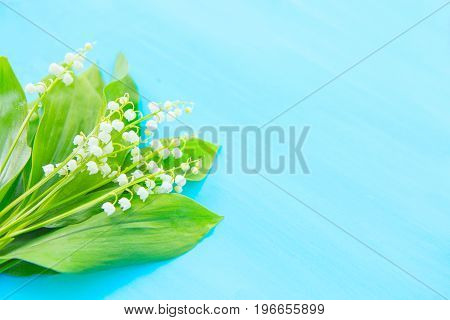 Spring White Lilies Of The Valley On A Blue Wooden Background