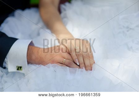 Stylish Wedding Rings For Wedding Marriage Ceremony