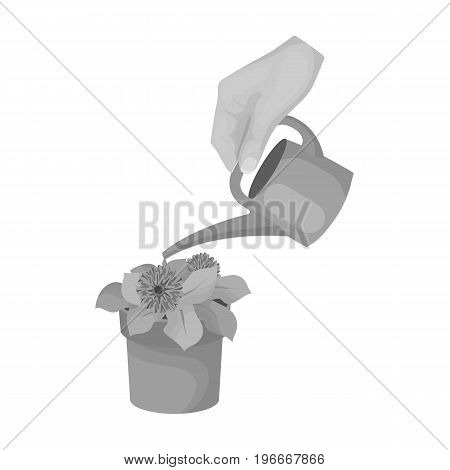 Watering the houseplant in a pot. Home Flower single icon in monochrome style vector symbol stock illustration .