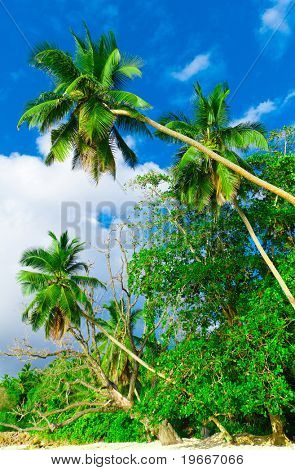 Piante del parco Wilds