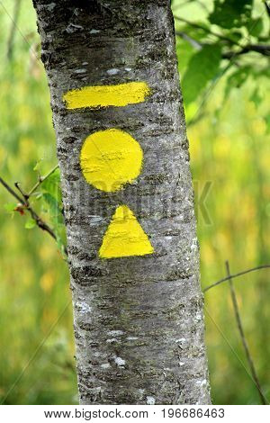 signs indicating the direction of a pedestrian excursion