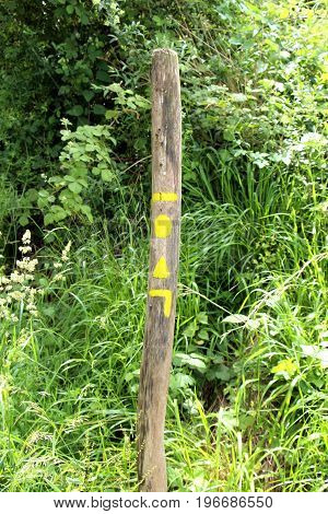 signs indicating the direction of a pedesrtian excursion