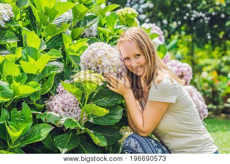 Young Woman On The Background Of Light Pink Hydrangea Blooming In The Garden