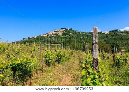 View of Istrian town of Motovun on picturesque hill Croatia