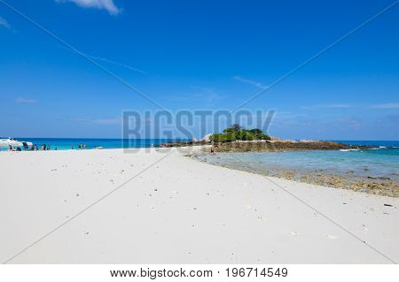 Beach Day