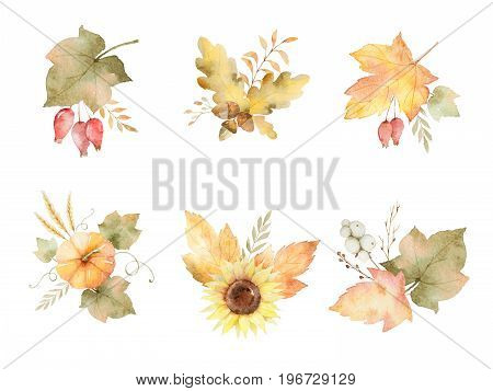 Watercolor autumn set of leaves, branches, flowers and pumpkins isolated on white background. Thanksgiving illustration for your design.