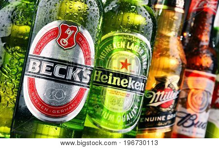 Bottles Of Assorted Global Beer Brands