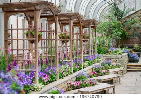 Inside Nature Center With Benches, Floral Designs and Patterns