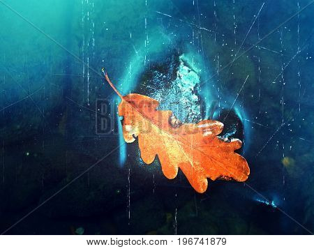 Film Effect. Caught Rotten Old Oak Leaf On Stone In Blurred Water Of Mountain River, First Autumn Le