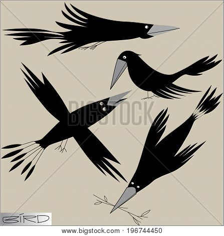 Set of graphic images of birds in motion