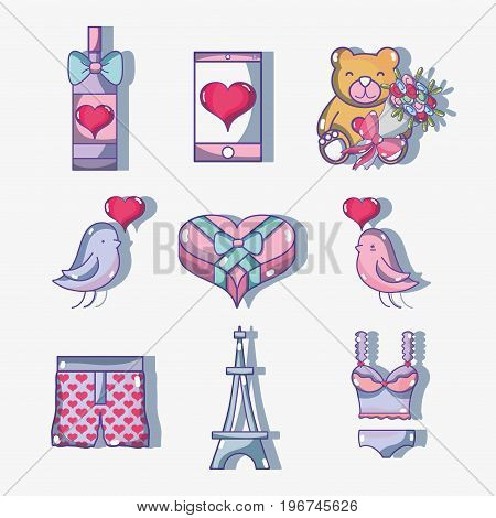 champagne and teddy bear with bouquet flowers vector illustration