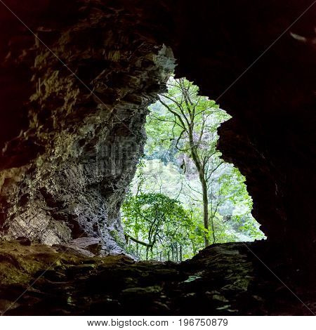 Entrance To The Cave