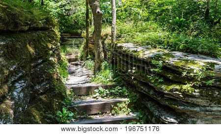 Old Stone Stairs Leading To Jungle