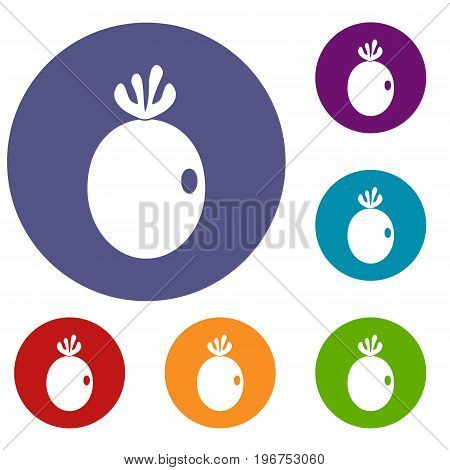 Feijoa fruit icons set in flat circle red, blue and green color for web