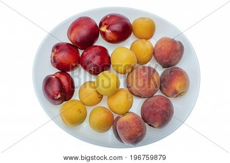 Peach, nectarine and apricot on white plate.