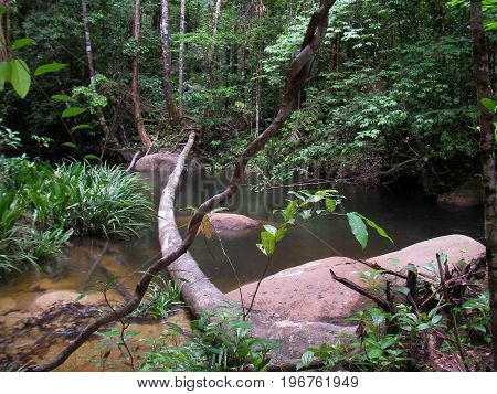 River in French guyana rainforest, south america.