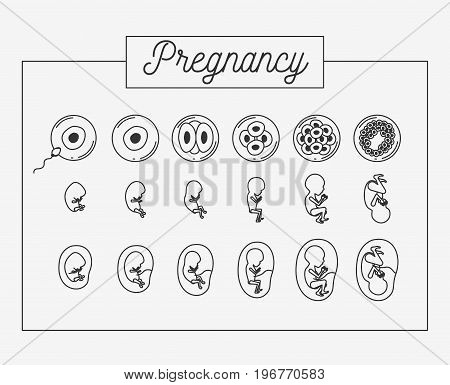 white background silhouette set pregnancy process in rectagular frame vector illustration